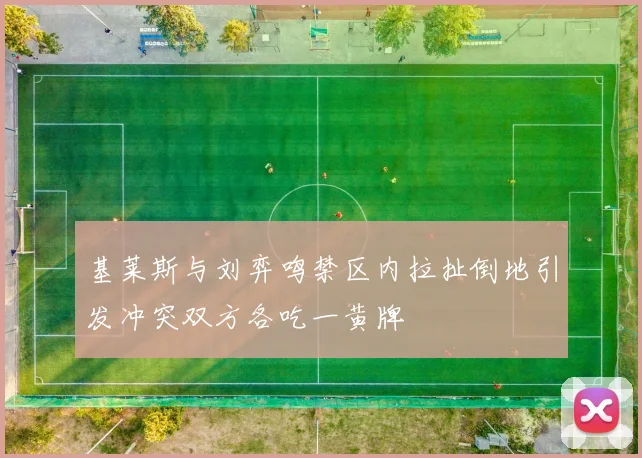 基莱斯与刘弈鸣禁区内拉扯倒地引发冲突双方各吃一黄牌